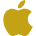 iOS App Development